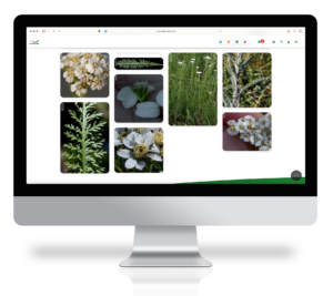 TCMbase Bilddaten für ein Arzneimittel