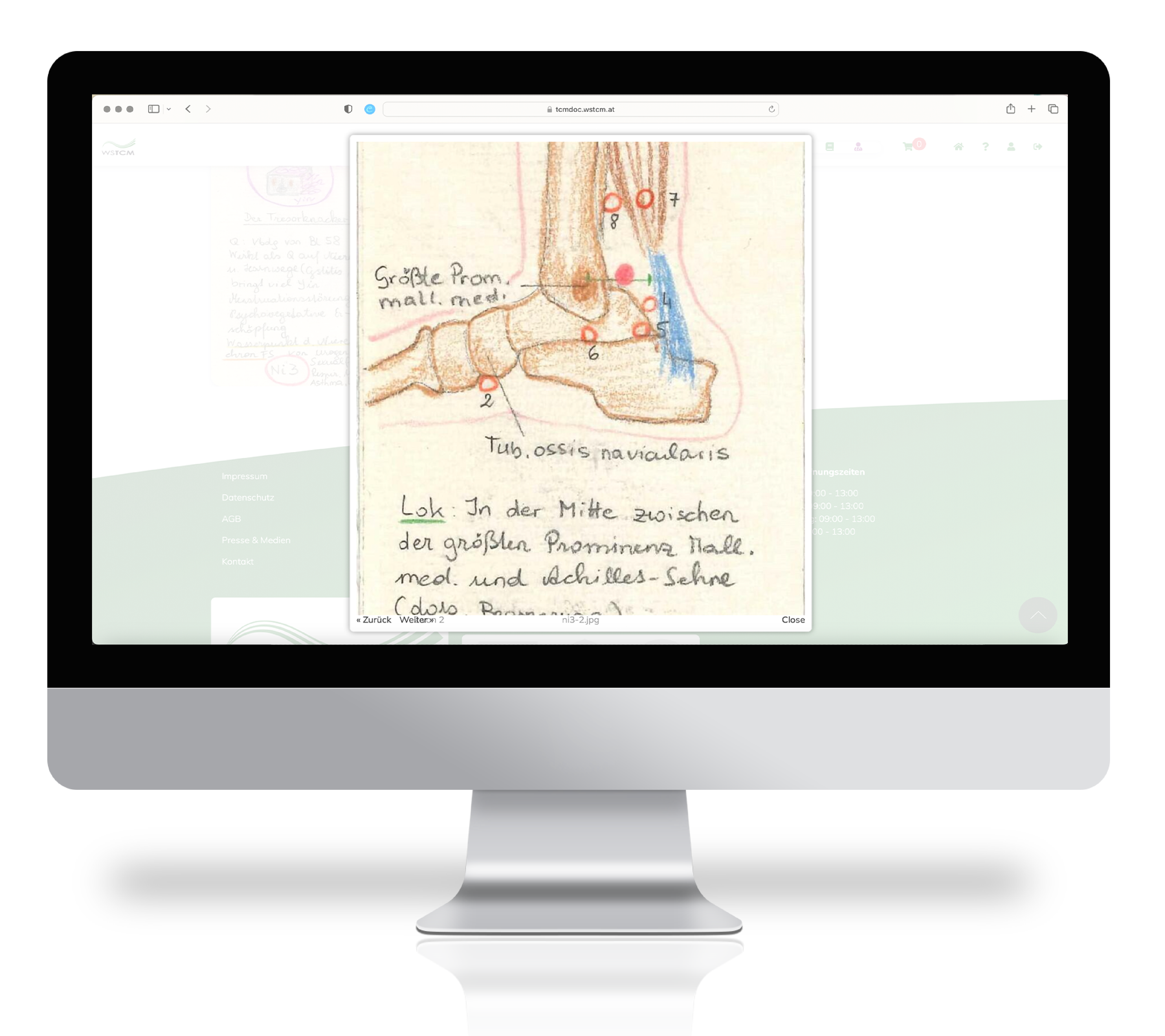 TCMbase Eintrag zu einem Akupunkturpunkt mit Illustrationen